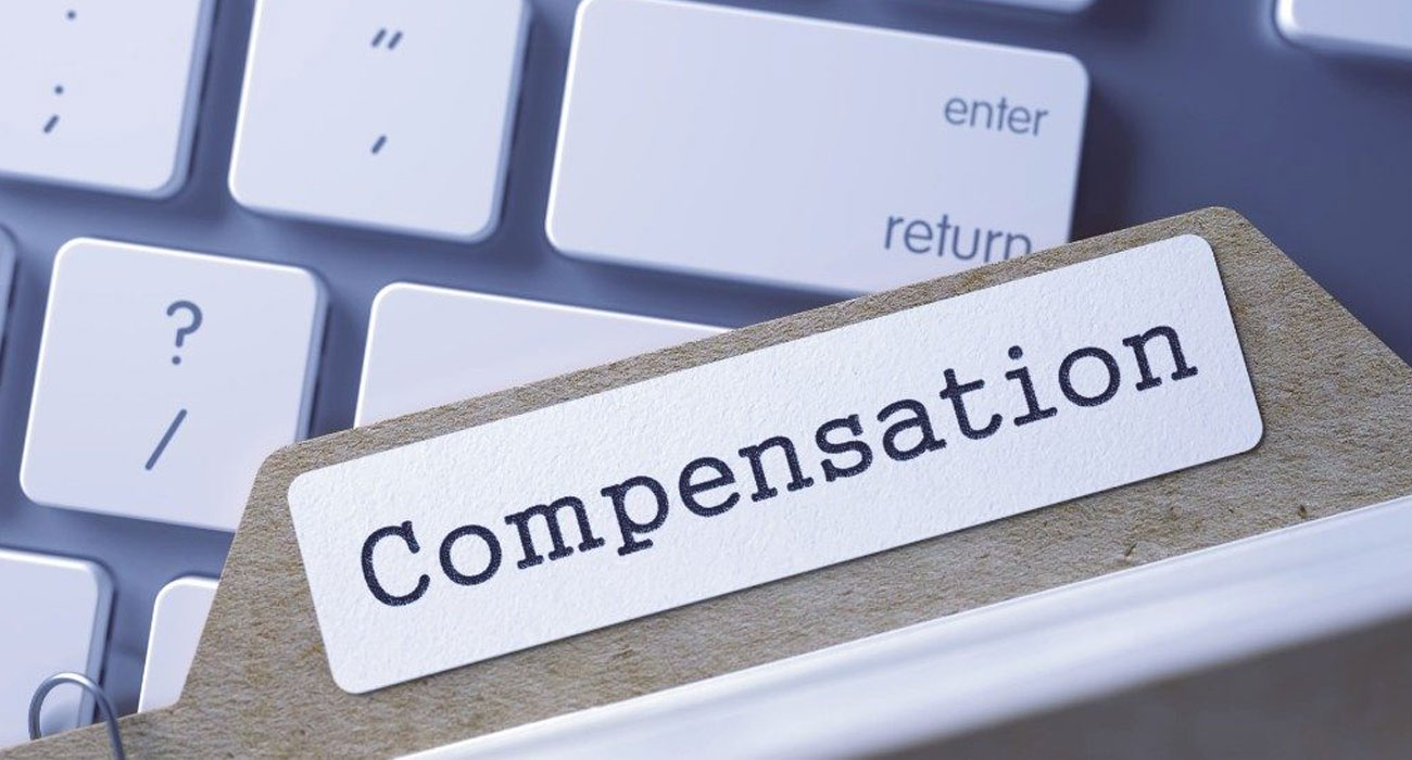 Reasonable Shareholder Compensation